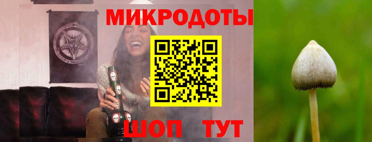 Урюпинск  даркнет сайт  Вход с VPN  Галлюциногенные грибы Psilocybine cubensis 